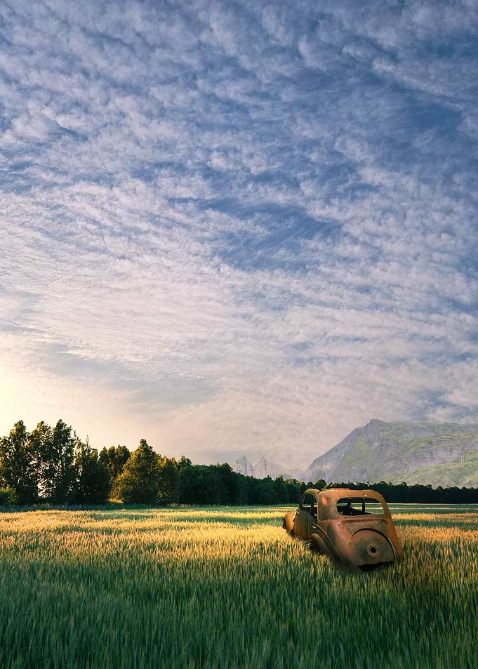 Car Wreck Fields