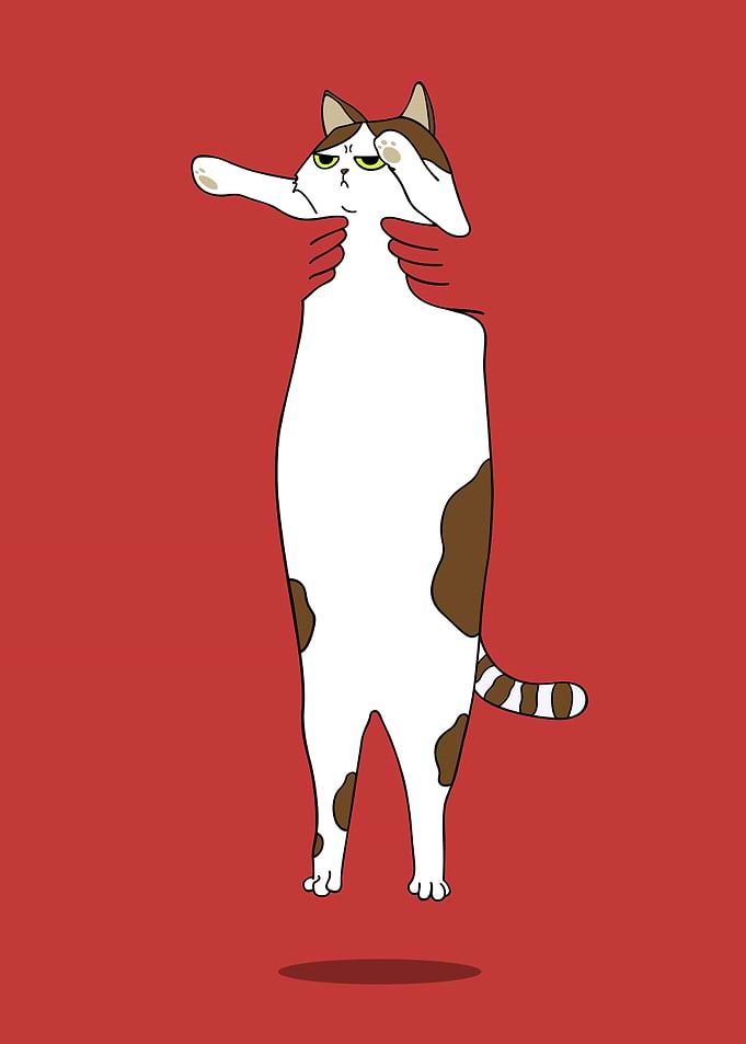 Funny Cute Cat Picture Art