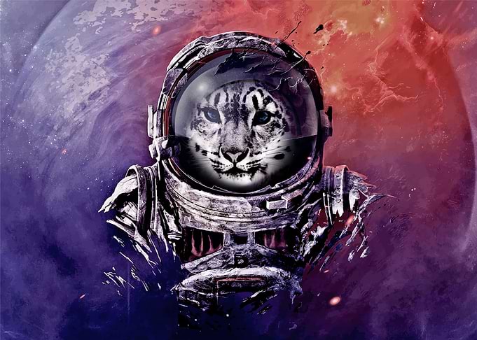 Astronaut