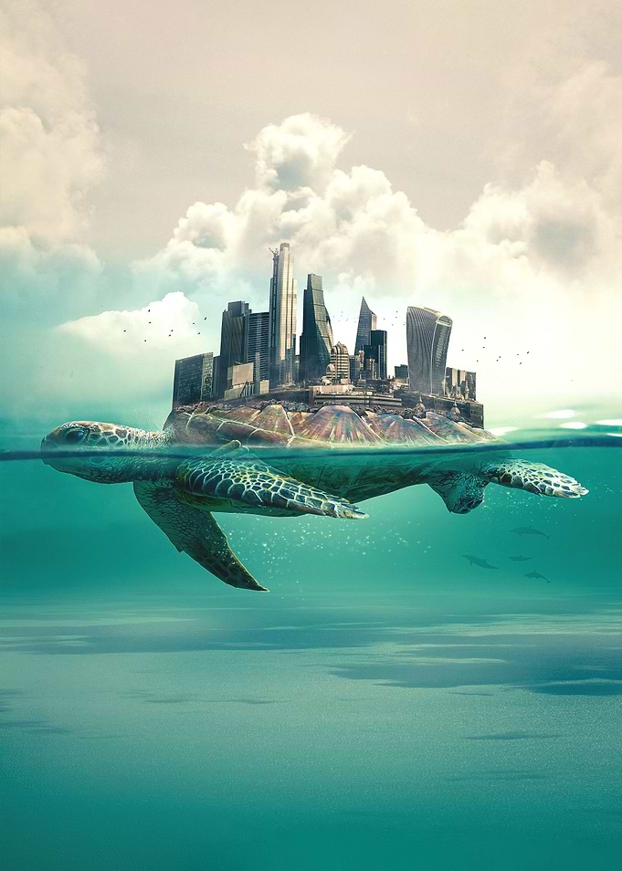 Turtle City