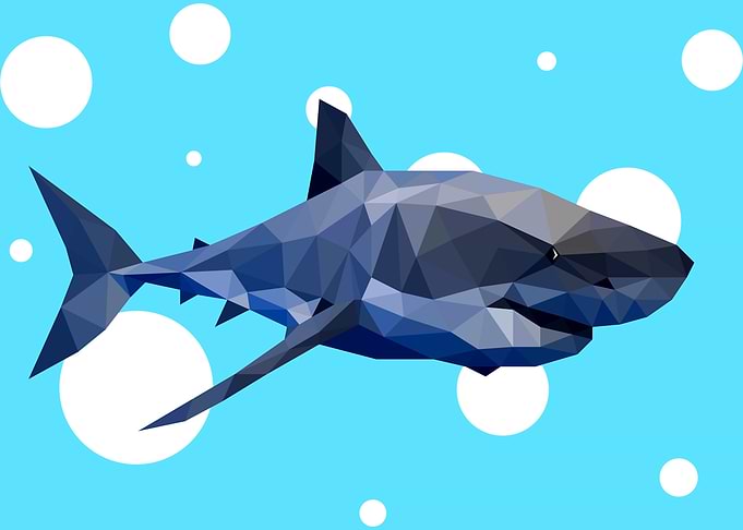 Shark