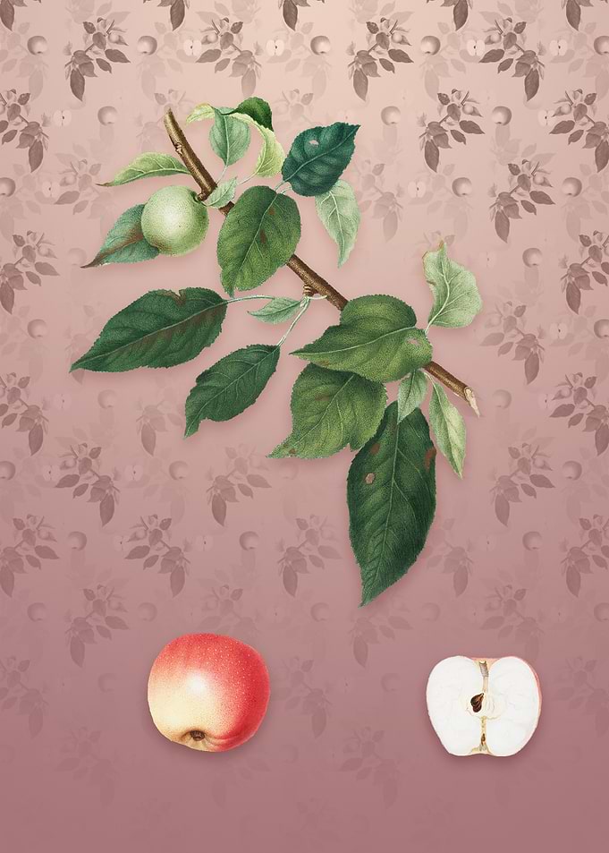 Apple on Dusty Pink