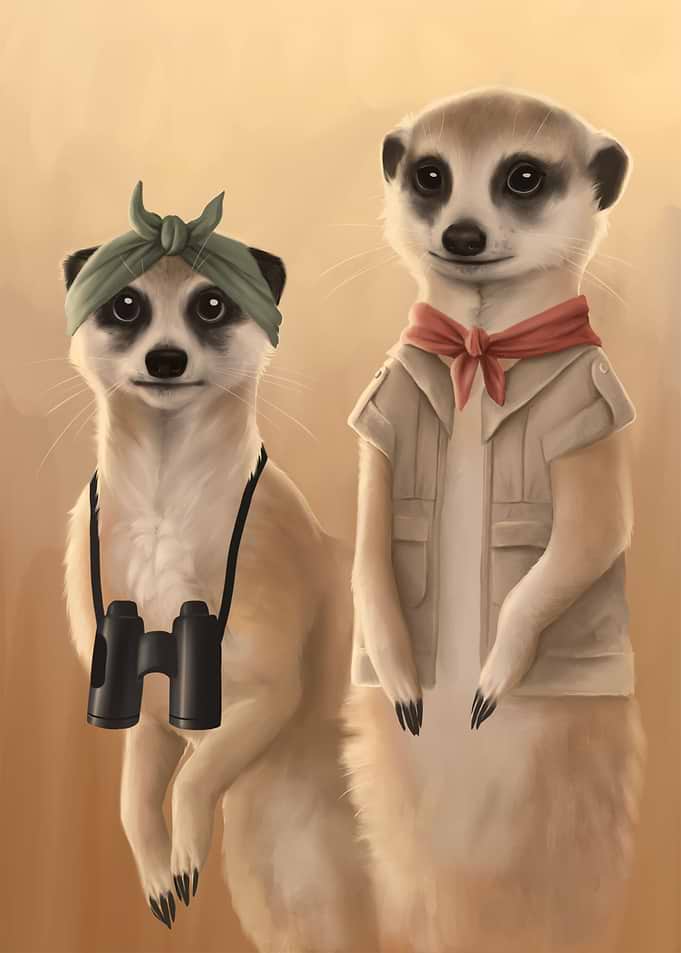 Safari Meerkats