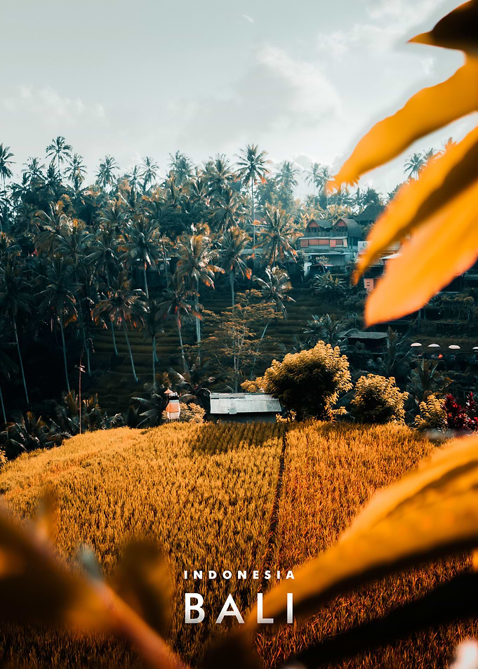 Bali View