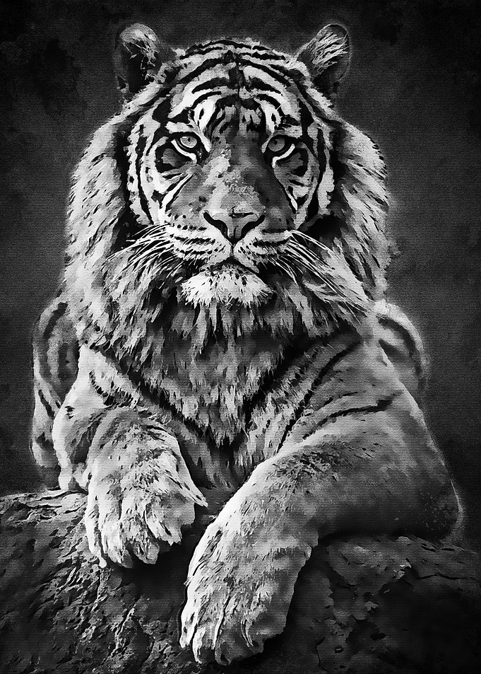 Black Leo