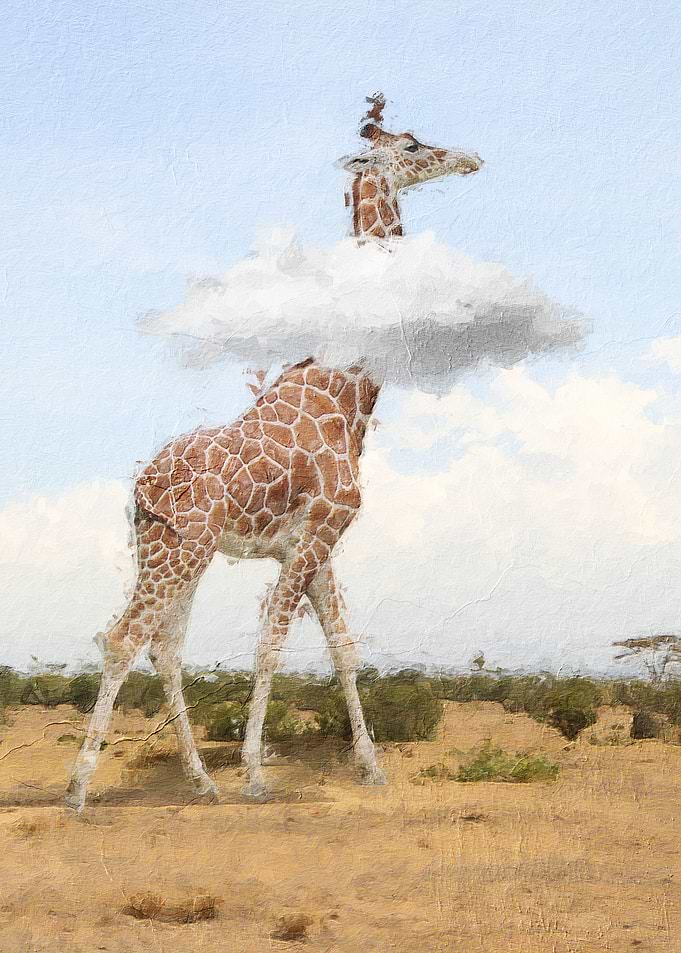 cute giraffe