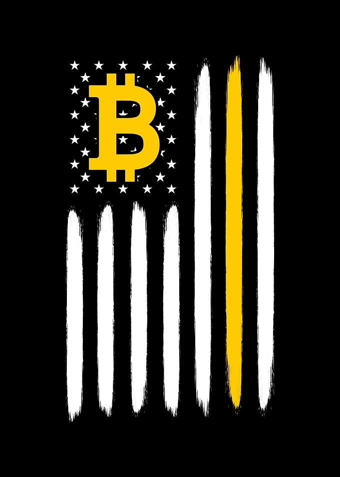 Bitcoin American Flag