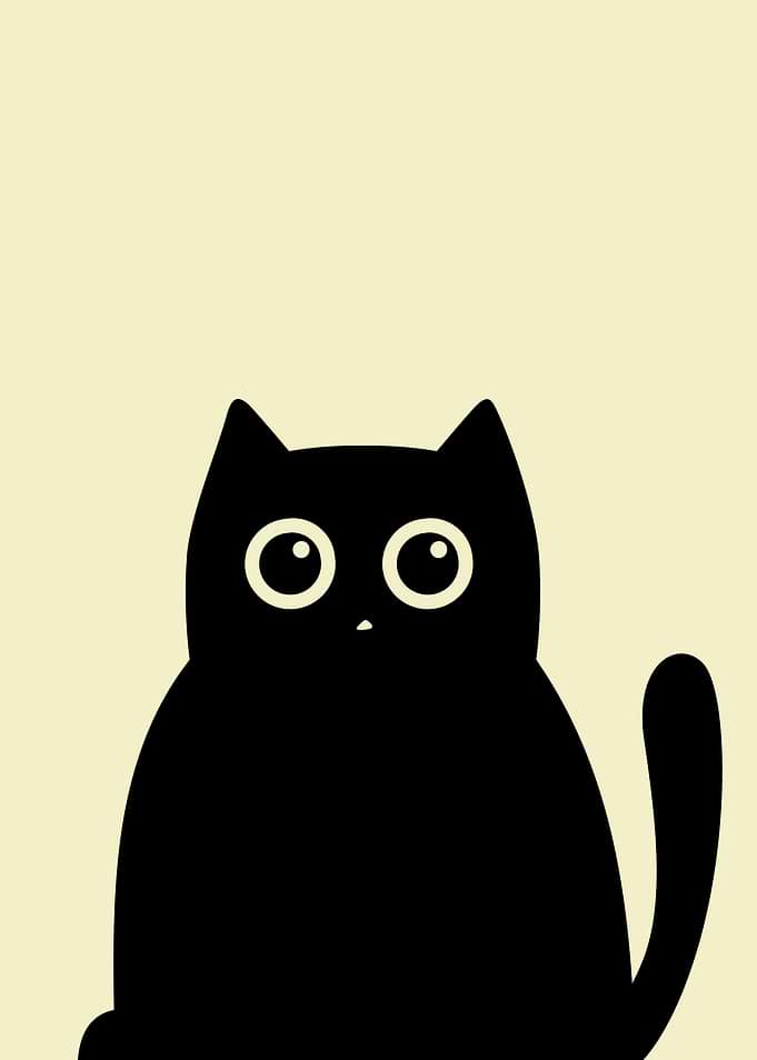 Black Kitten