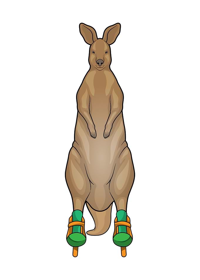 Kangaroo Roller skates