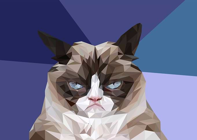grumpy cat