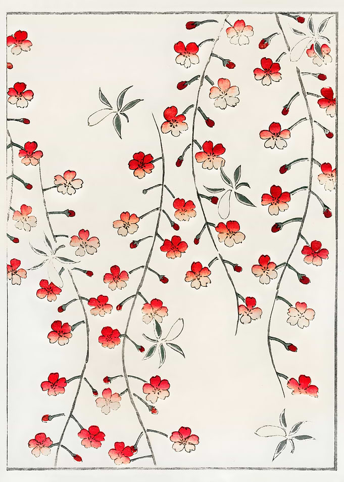 Cherry Blossom