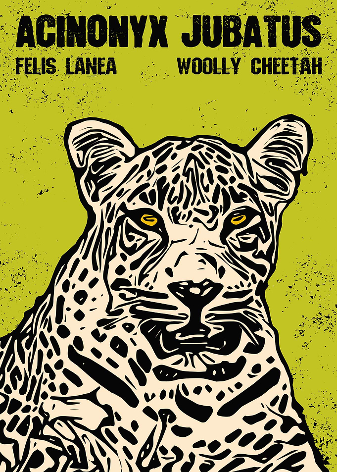 Bohemian Jungle Panther
