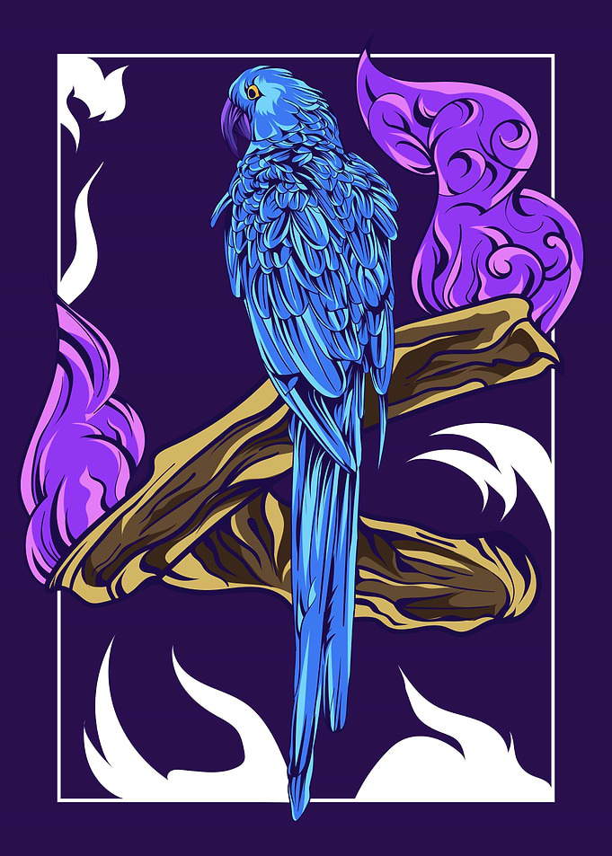 Parrot