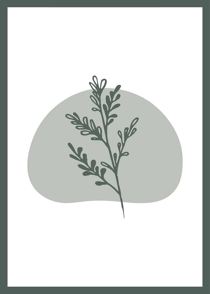 Hand Drawn Botanical