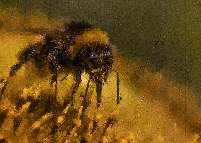 Bee