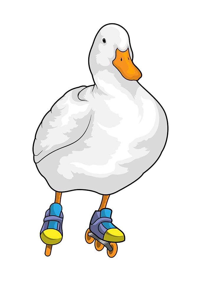 Duck Roller skates Sport