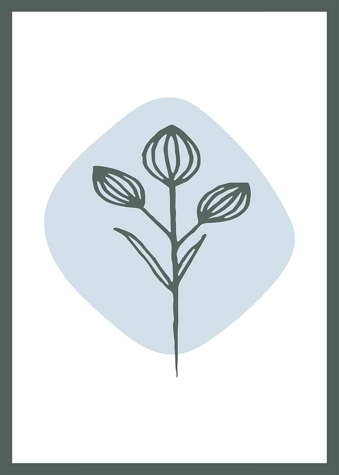 Hand Drawn Botanical