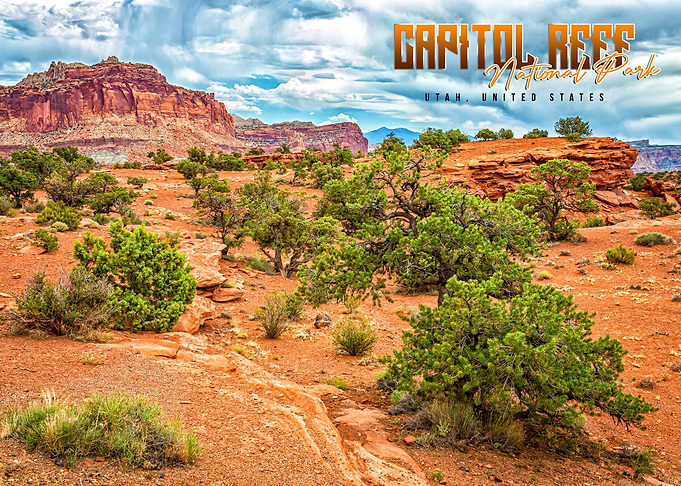 Capitol Reef National Park