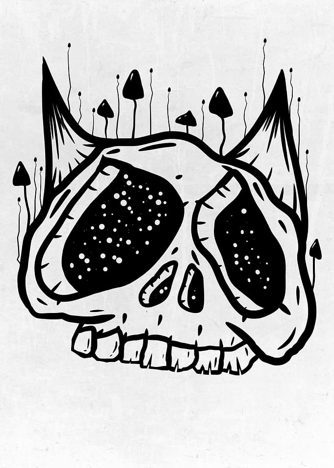 Fern and Skulls