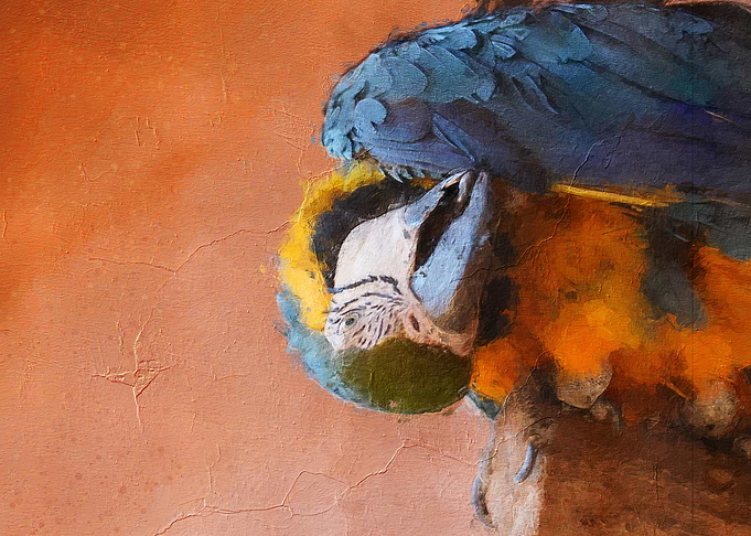 Cute bird