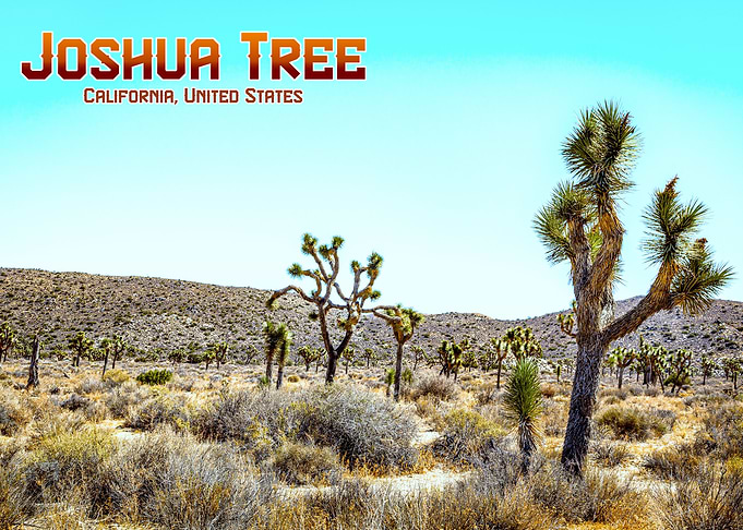 Joshua Tree National Park