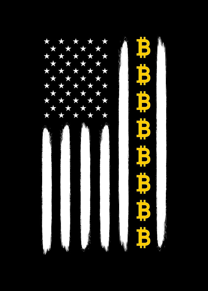 Bitcoin USA Flag Logo
