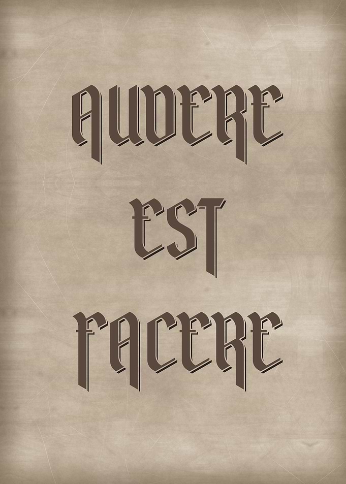 AUDERE EST FACERE