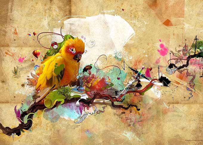 Bird