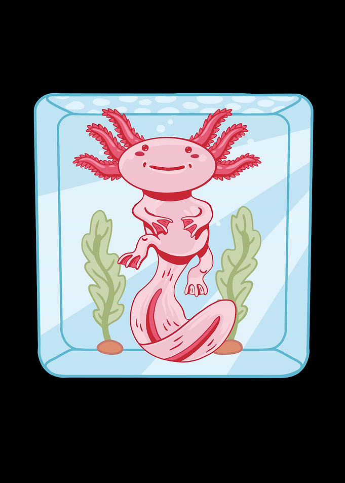 Cute Axolotl in water
