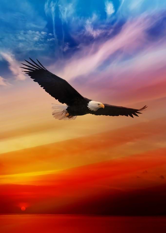 Eagle