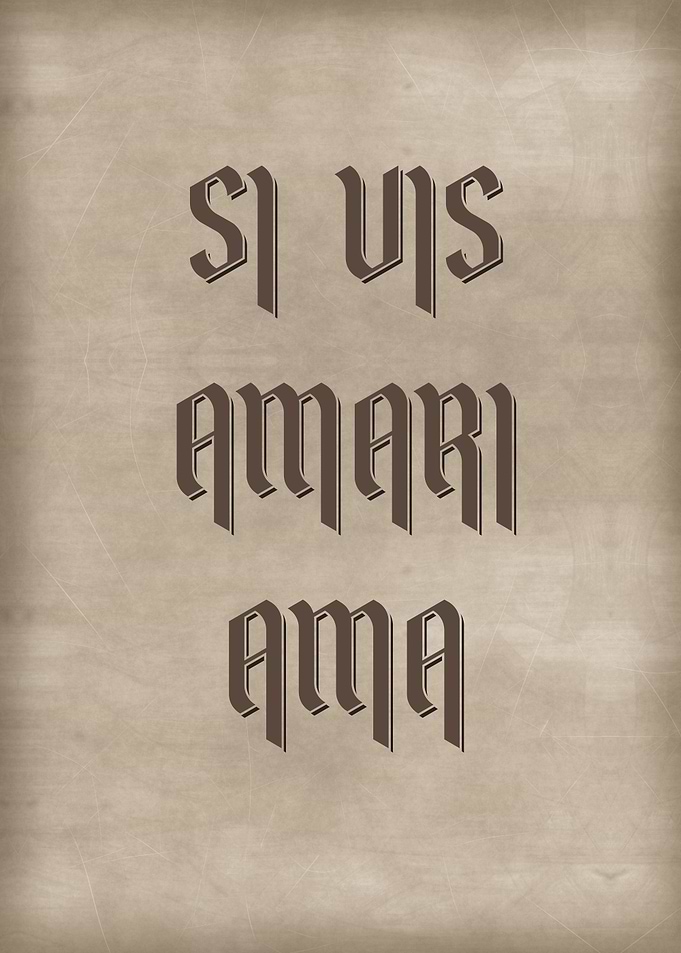 SI VIS AMARI AMA