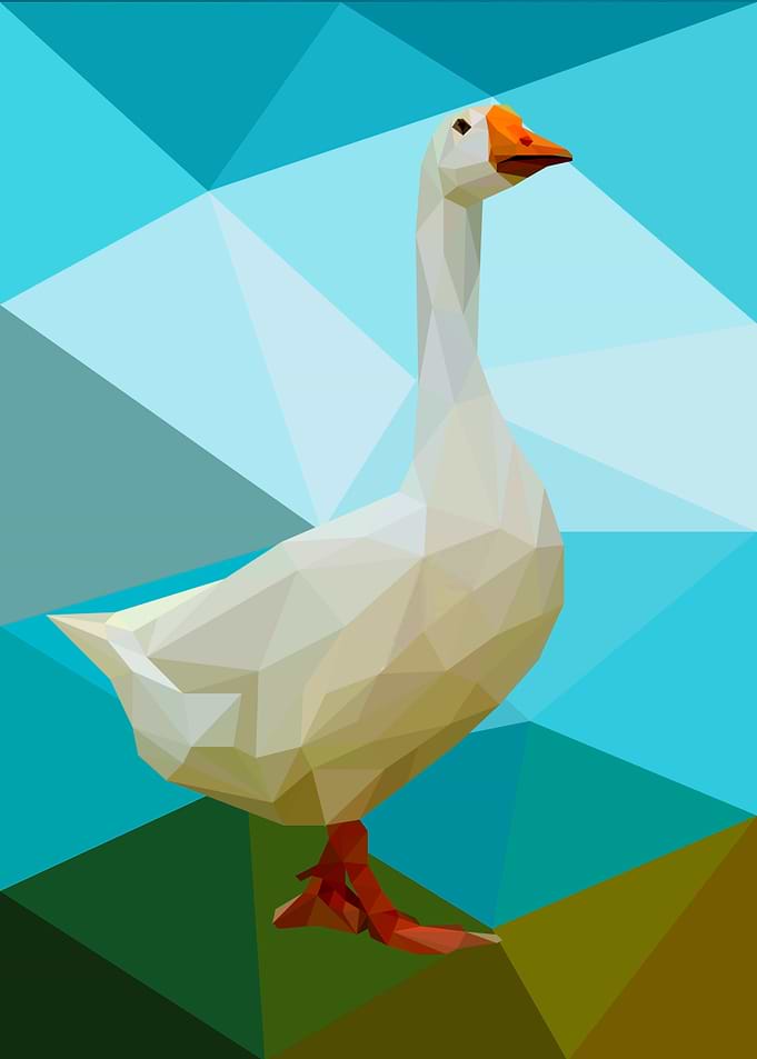 Goose