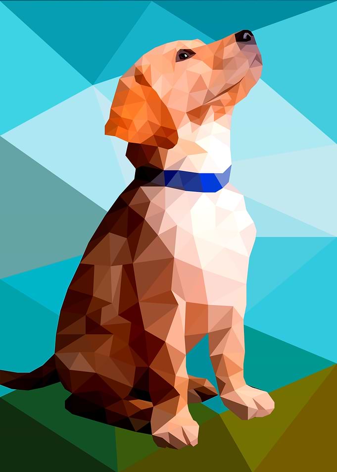 Labrador