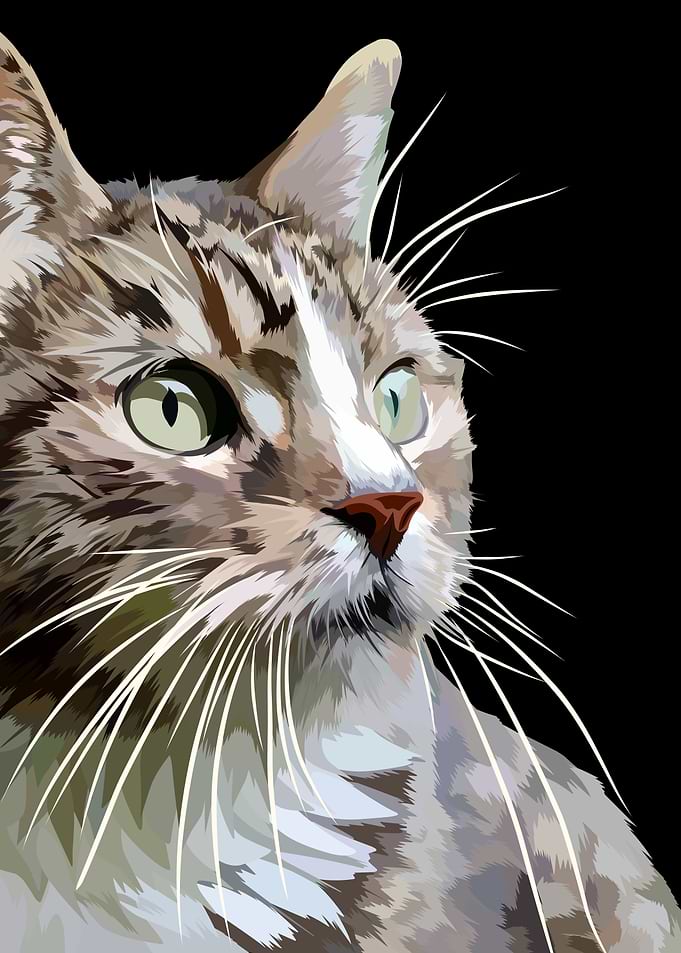 pet cat in vector style