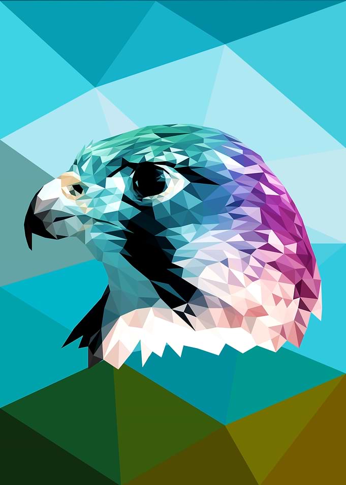 Falcon