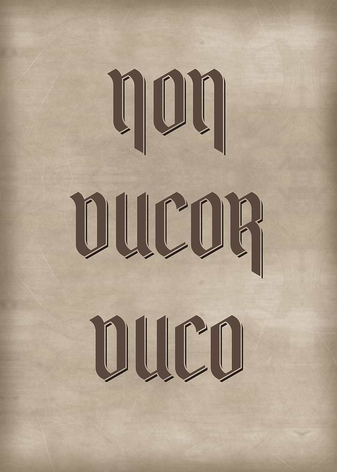 NON DUCOR DUCO