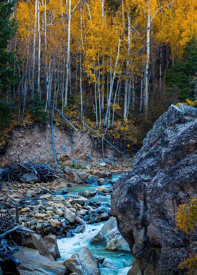 Tranquil River Scenes