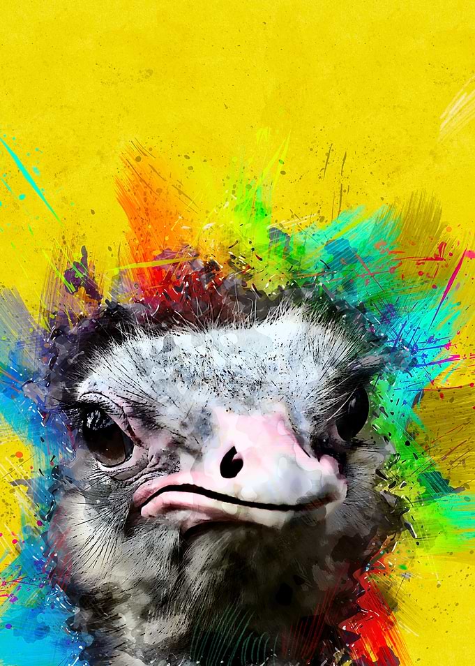 Ostrich 158