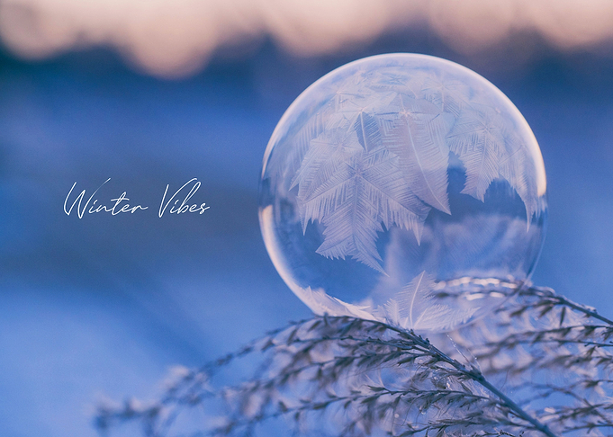 Winter Vibes