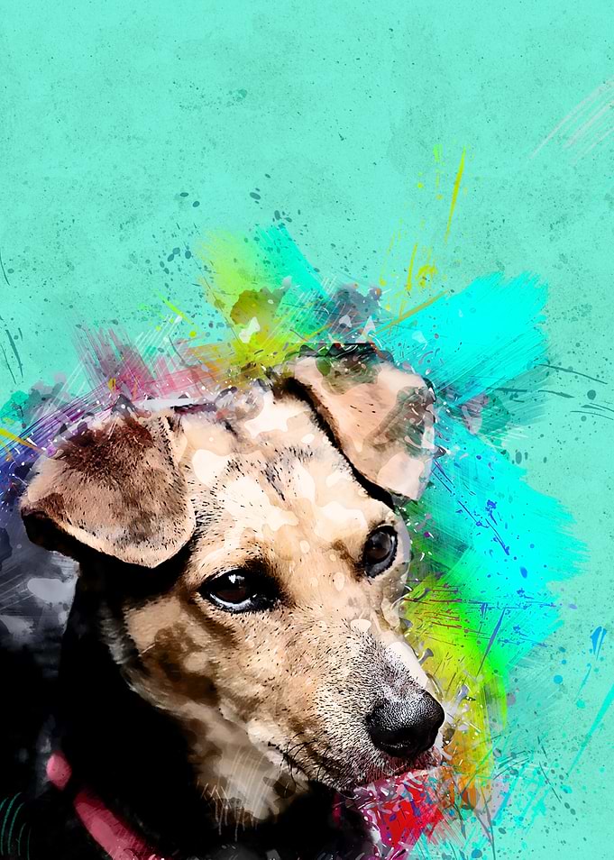 Dog 152