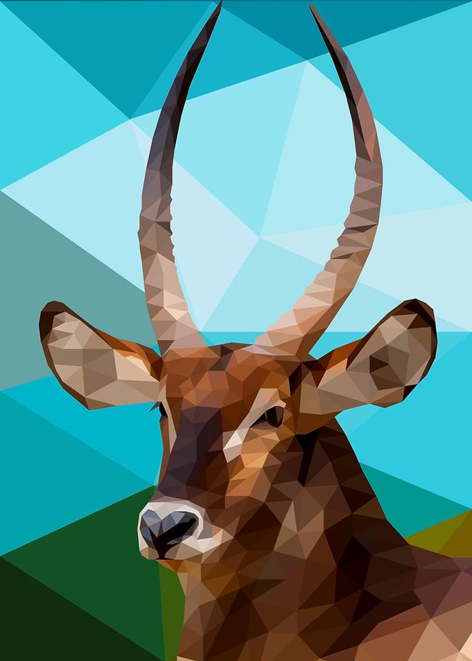 Antelope