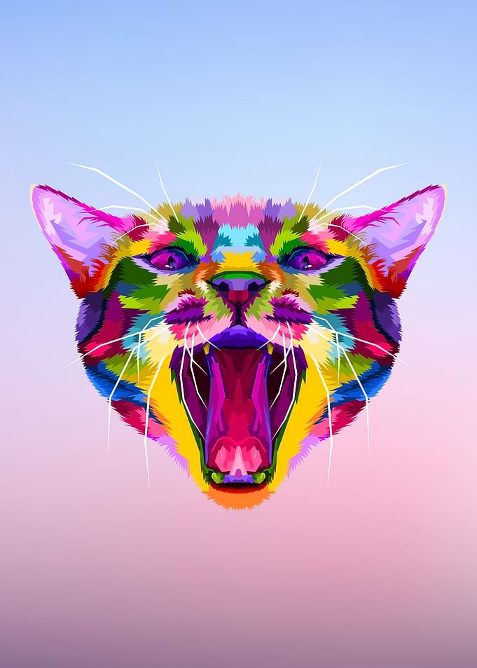 Rainbow Angry Cat Head