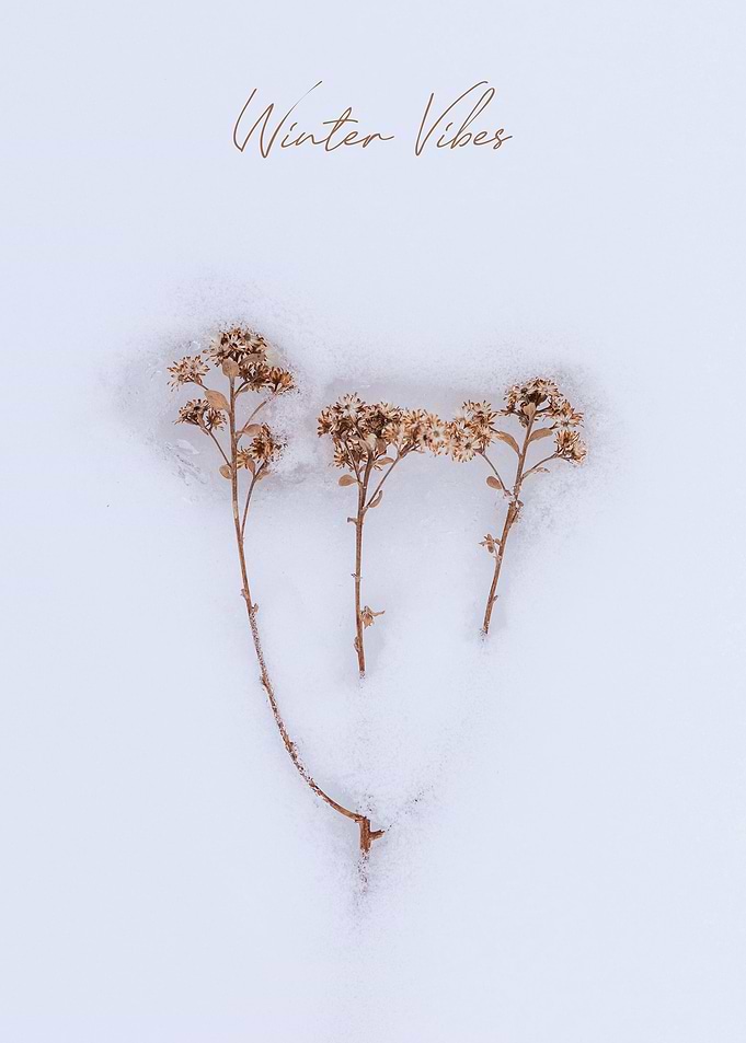 Winter Vibes
