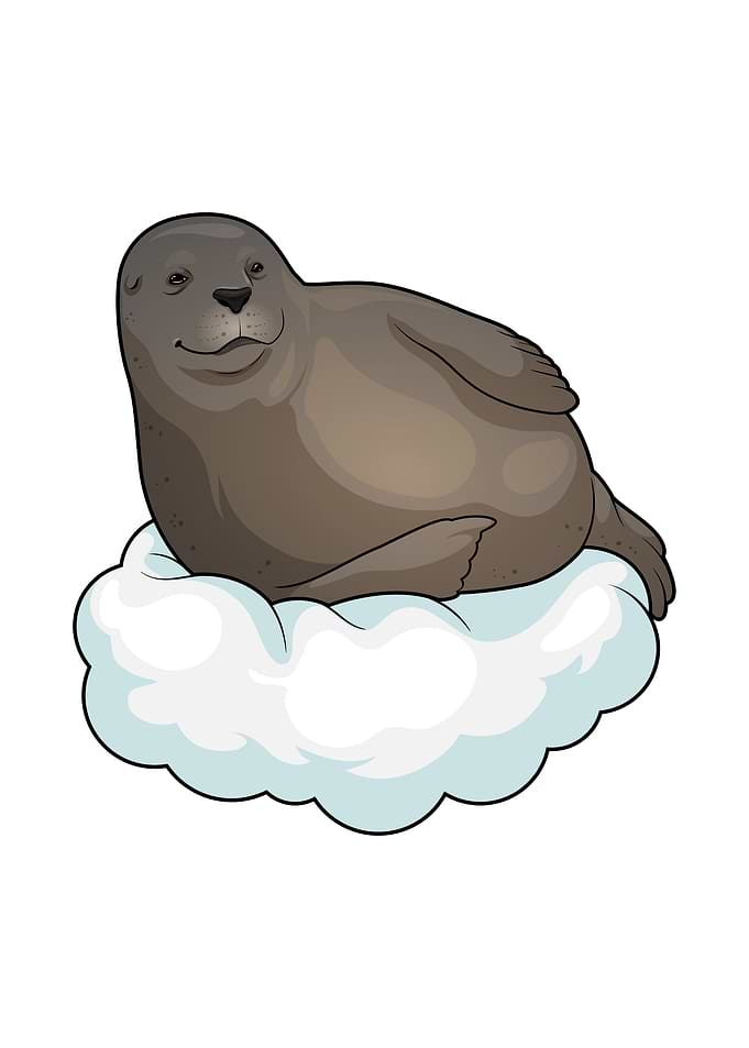 Seal Clouds