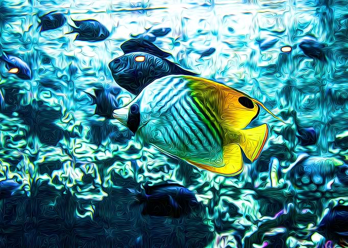 Ocean Fish