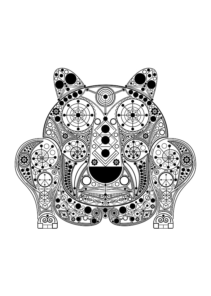 Jaguar Chiva