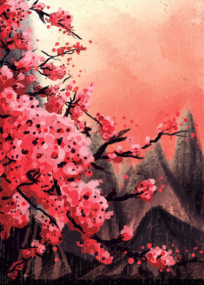Cherry Tree blossoms