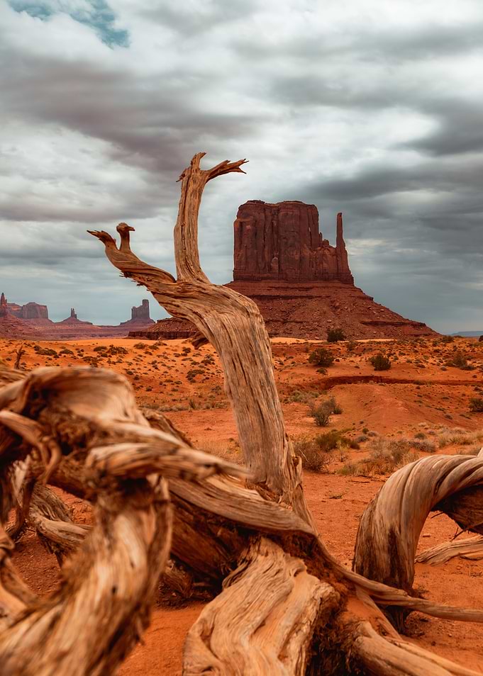 West Mitten and a Tree