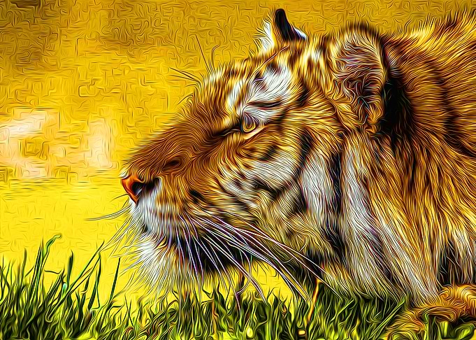 Tiger