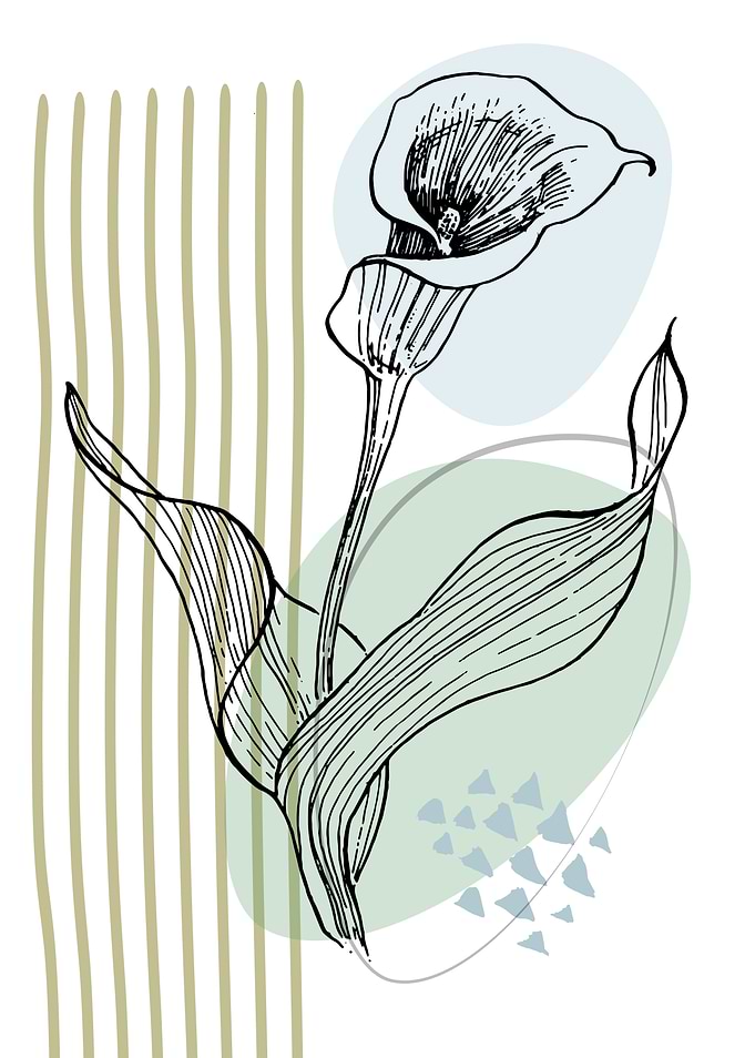 Hand draw